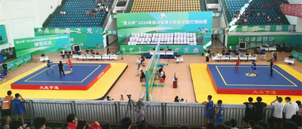 喜讯：泰宏拳道馆运动员代表德阳市参加四川省青少年武术散打锦标赛荣获3金1铜
